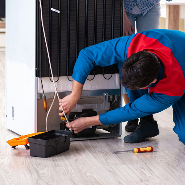 what are the common refrigerator repair services in Ecleto Texas